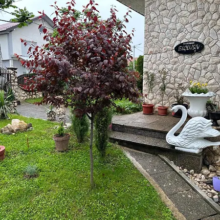 Excluziv Apartamento *