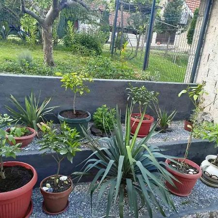 Apartment Excluziv *
